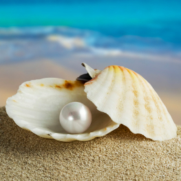pearl_great_price