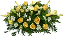 rosas2