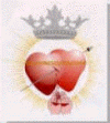 INSIGNIA SIERVAS